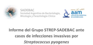 Informe del Grupo STREP-SADEBAC ante casos de infecciones invasivas por Streptococcus pyogenes
