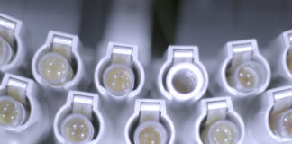 Dislipidemia aterogénica