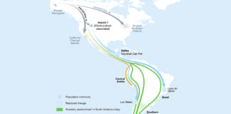 Descubrimiento sobre ADN antiguo