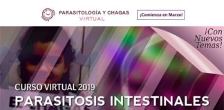 Curso online Parasitosis Intestinales: avances en diagnóstico y tratamiento 2019