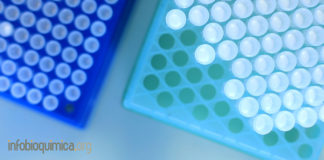 Una vacuna COVID-19 se muestra prometedora en la primera investigación revisada por pares