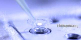 ¿Latencia o nueva infección?