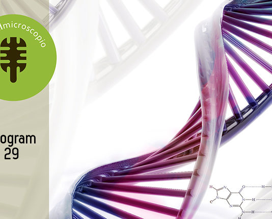 El Microscopio – Program 29