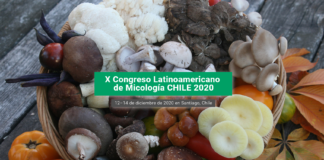 X Congreso Latinoamericano de Micología Chile 2020