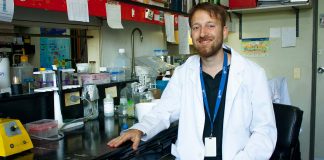 Buscan desarrollar una prueba en sangre que sirva para determinar fallas en el metabolismo energético asociado a la enfermedad de Alzheimer