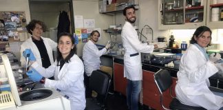 Jóvenes científicos de la Fundación Instituto Leloir trabajan para producir los primeros test serológicos de coronavirus en Argentina