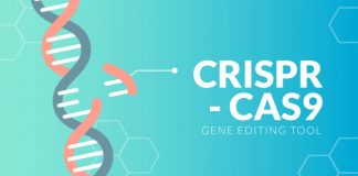 Prueba nueva basada en CRISPR diagnostica la COVID-19 en menos de una hora