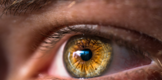 Rol del laboratorio en la conjuntivitis alérgica: Determinación de IgE e IgE específicas en lágrimas