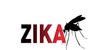 La epidemia de fiebre zika se propagó más de lo que se pensaba