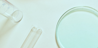 Alerta epidemiológica por brotes de Candida auris en servicios de atención a la salud en el contexto de la pandemia de COVID-19