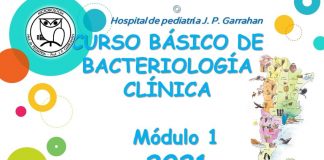 Curso básico de bacteriología clínica. Módulo 1