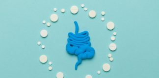 Microbiota intestinal en el síndrome de intestino irritable