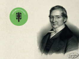 Bloque de ciencia. Gay Lussac