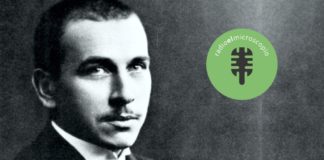 Bloque de ciencia. Alfred Wegener.