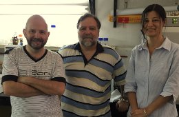 Entrevista Múltiple